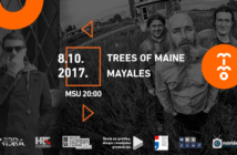 mimo Trees of Maine i Mayales